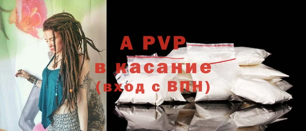 твердый Абаза