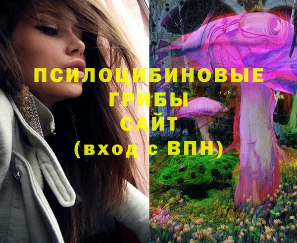 твердый Абаза